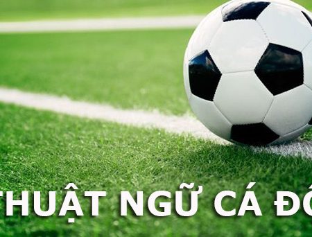 Những thuật ngữ cá độ cần biết khi tham gia cá cược bóng đá