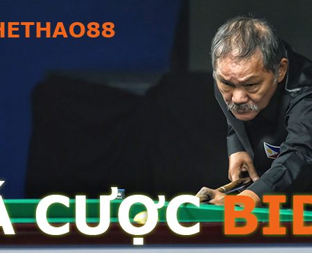 Tìm hiểu cách chơi cá cược Bida trực tuyến tại 188bet